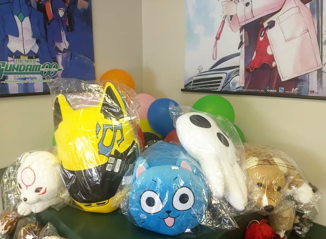 Anime Pillow Pet