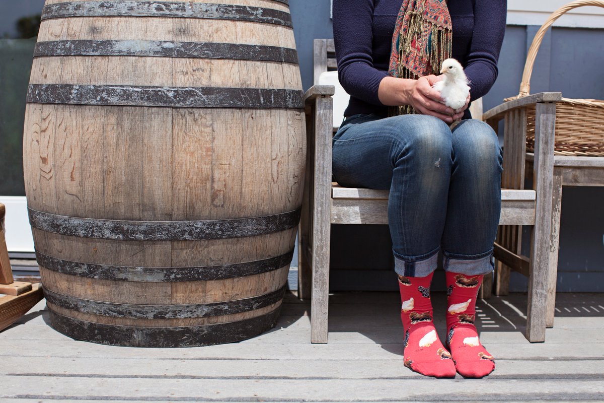 Socksmith's tweet photo. Get your cluck on! #chicken #chickensocks #coolsocks #sockswag #farmsocks #birdsocks #noboringsocks https://t.co/VR5Qdtl7AJ