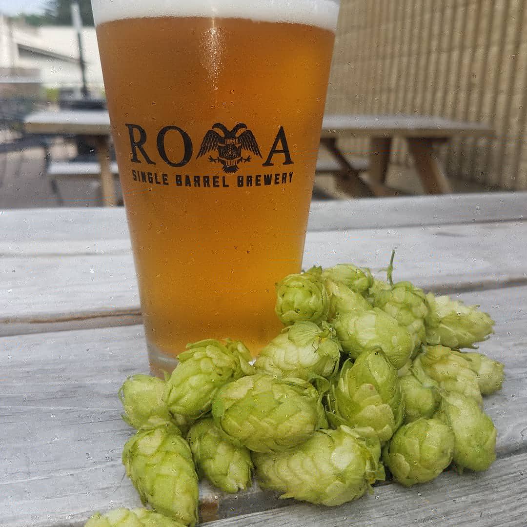 Wet hopped Hopgarten pale ale coming soon.