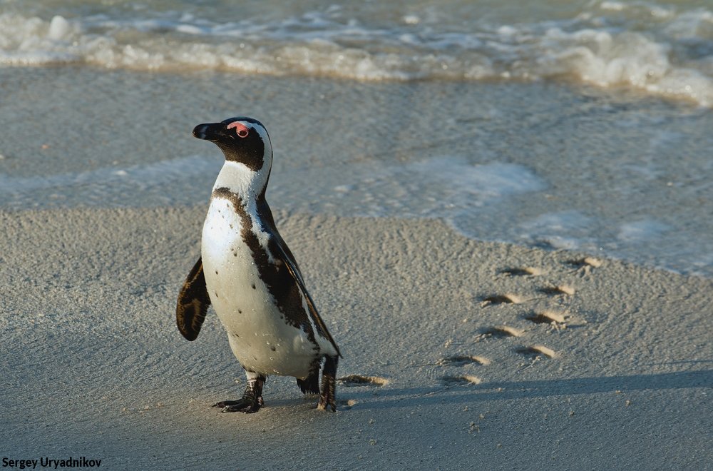 Leave nothing but footprints... 💙