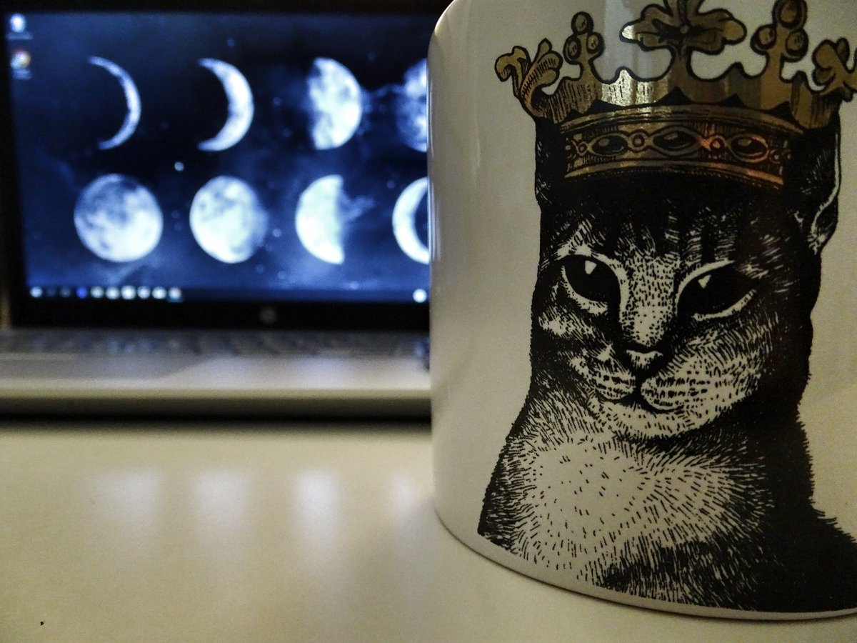 IvanaTurkovi1's tweet photo. Windy days are the best days 🍃
🌜
🌜
🌜
----------> https://t.co/MZXX38UTPm

#photography #CatsOfTwitter #catlady #blogger #hotchocolate #coffeetime #coffee #zagreb #Croatia #flatlay #darlingdaily #moon #fullmoon https://t.co/juXh3iS2at