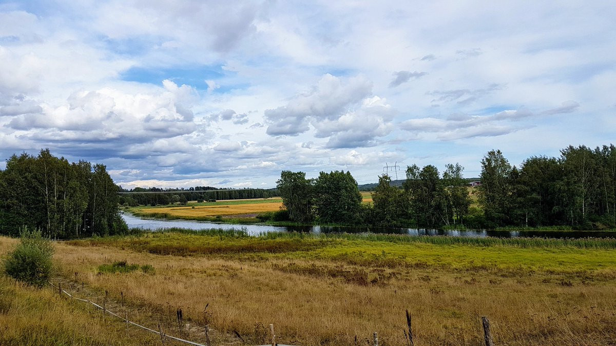Juha Auvinen (@zehov) on Twitter photo 