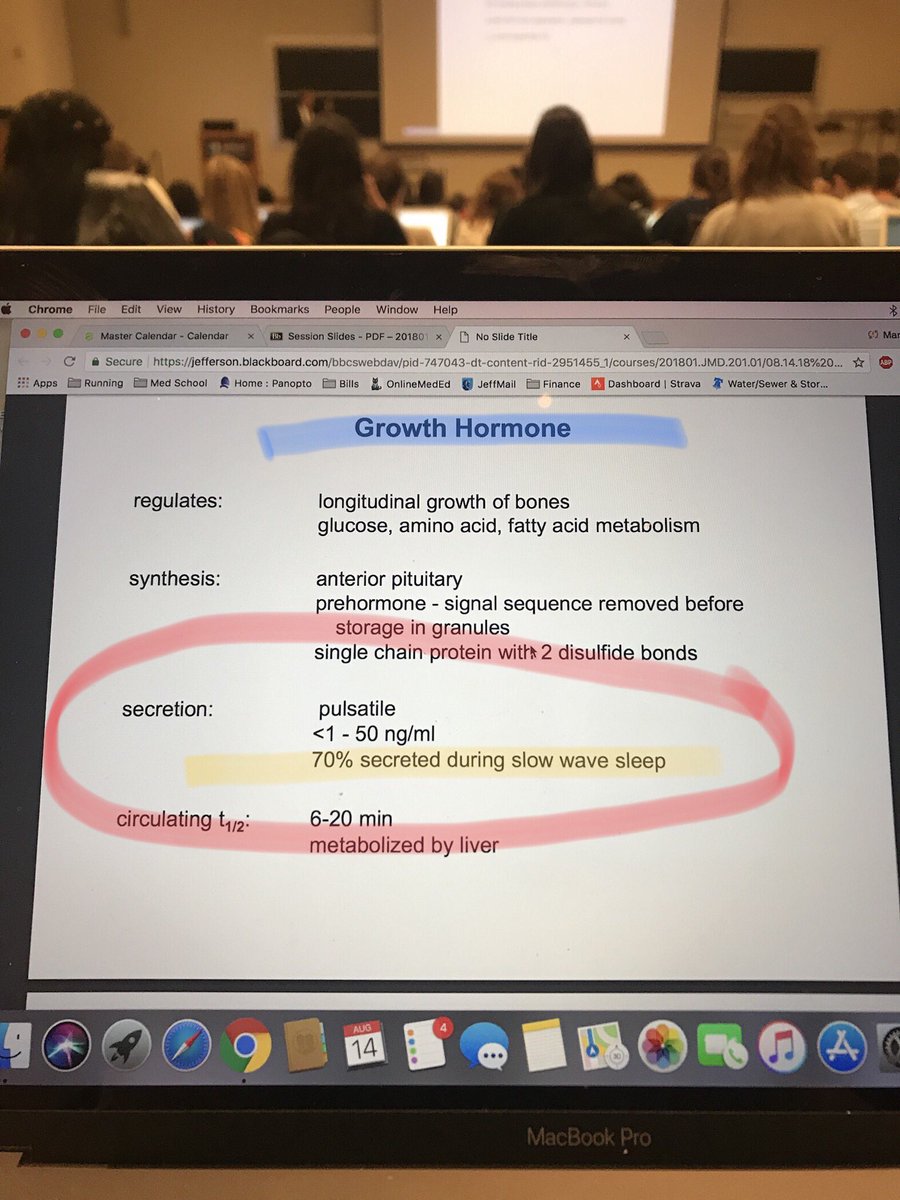 mardy_hehir's tweet image. As if we needed more consensus on the importance of sleep...
It’s legal doping! 70% of daily growth hormone is released while you sleep!!
#runningmeetsmedicine #lecturenotes