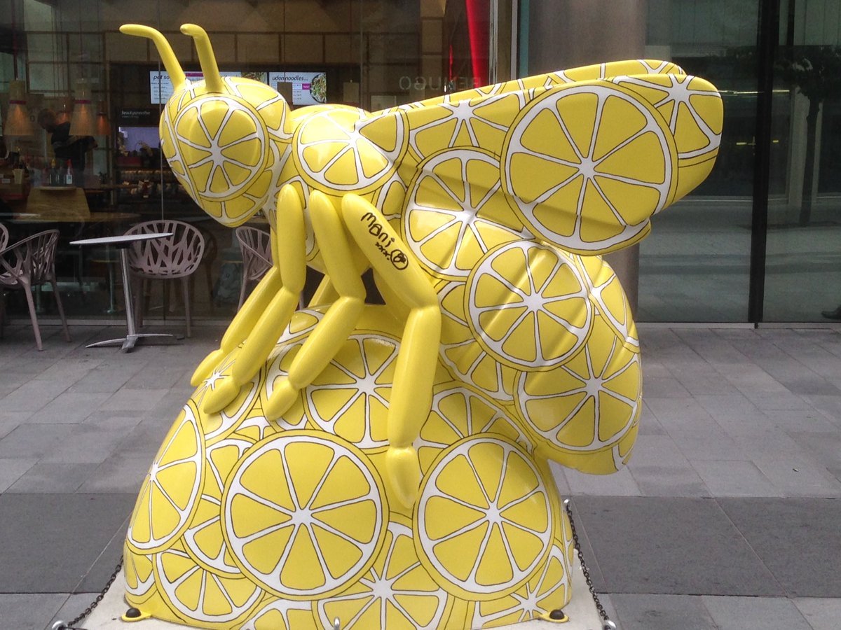 MancBeehive's tweet photo. How much more #Mancunian can you get than #IWannaBeeAdored - the #BeeInTheCity signed by @stoneroses drummer #Mani aka @Garymounfield1  - absolutely love it! https://t.co/DCfSKhszIb