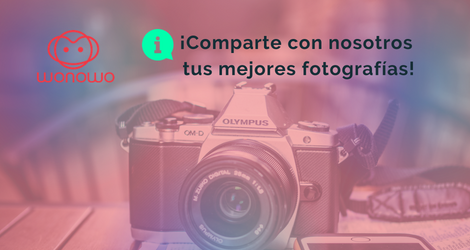 wonowo_com's tweet photo. 🗺️🏝️ Este verano cuéntanos tu experiencia #SUMMER y déjanos disfrutar contigo las #vacaciones.

🤳 ¡Nada nos hace más ilusión que recibir vuestras #fotografías! #Wonowo #Verano10 #Fotobook https://t.co/YHVjG4KERM