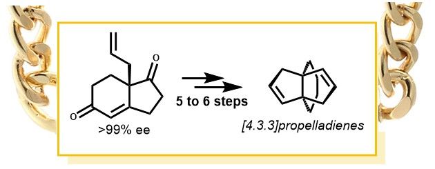 JOC_OL's tweet photo. You down with P.P.D.? Tommaso Pecchioli @ChristmannGroup @FU_Berlin synthesized and evaluated a series of novel [4.3.3]propelladiene ligands (PPDs) https://t.co/7NEOUhtaLY https://t.co/DhFyeta5tt