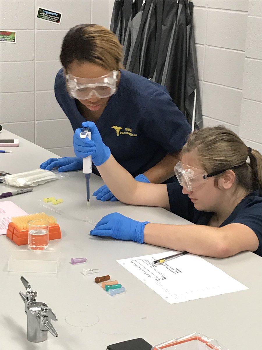 TDurboraw's tweet photo. @BucksBiomedical MI Students are diagnosing disease using an ELISA Assay. @Buckhorn_High https://t.co/goBEDh7SvC