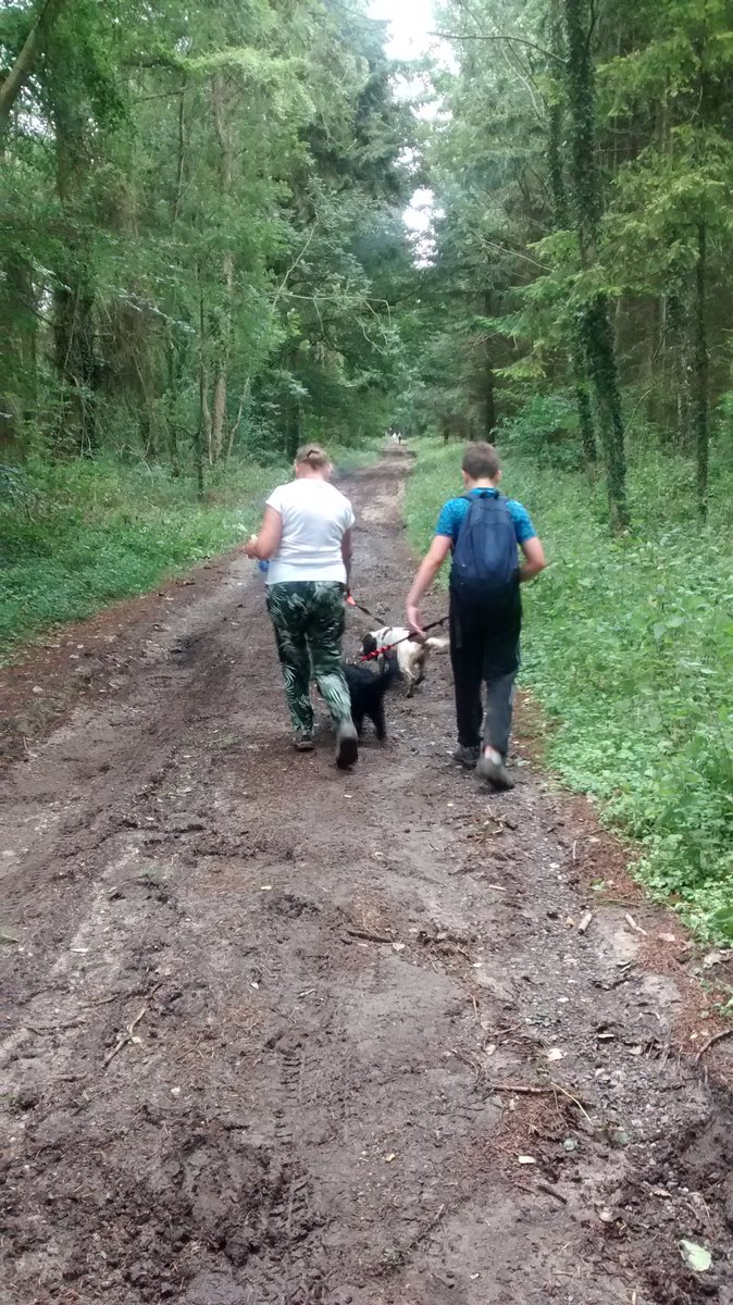 h_power1's tweet image. 12 puzzle caches collected in the woods today little bit muddy after the rain but a nice circuit with the family and doggles. Deseeding may be in order Poppy @GoGeocaching @LiveGeocaching @Geocaching_Pics #geocaching #puzzlecache #mud