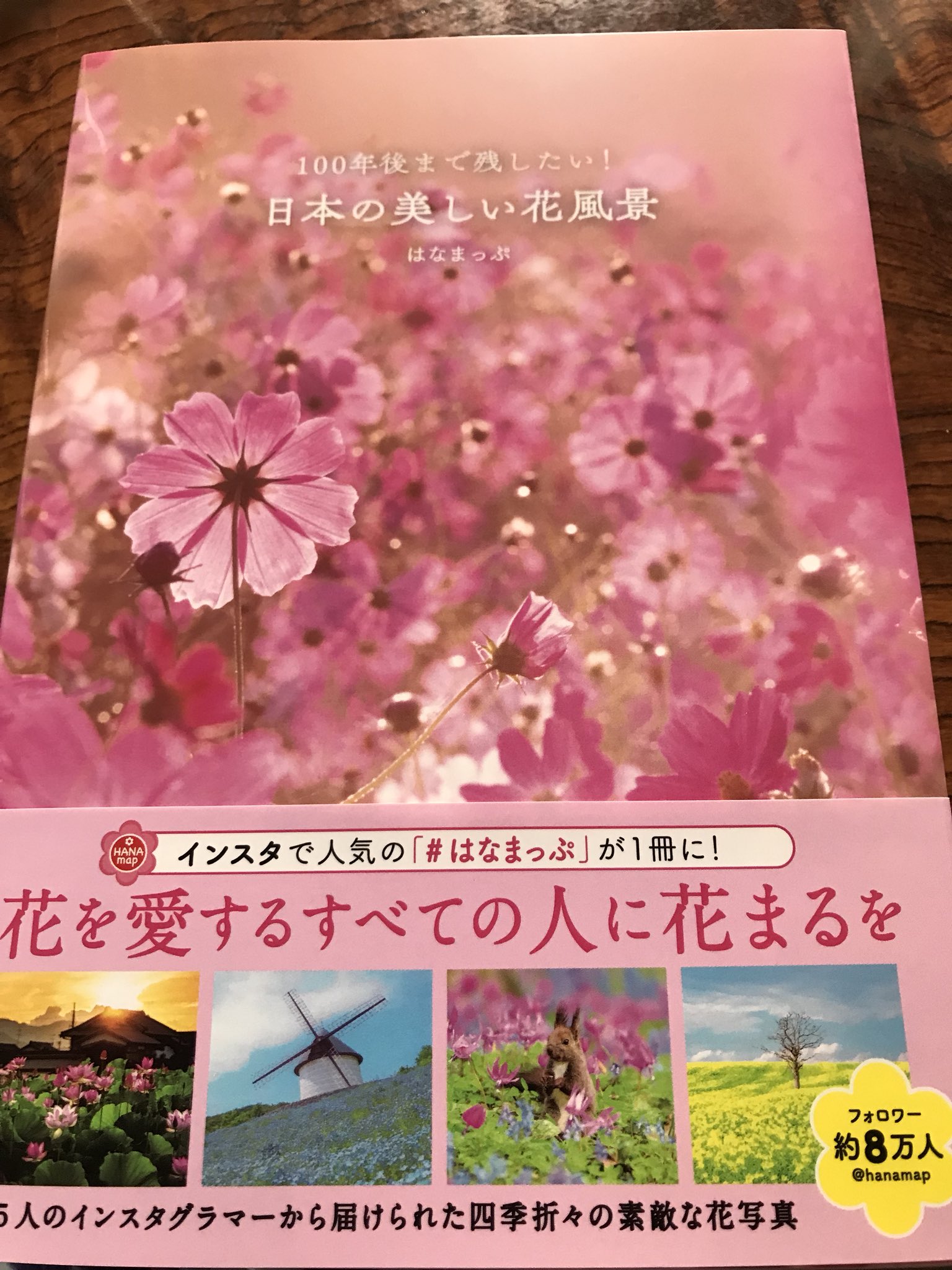 Yumi Supli はなまっぷ 日本の美しい花風景 ゲットしました 素敵な写真集をありがとうございます T Co Ao8cr1fwxa Twitter Yumi Supli はなまっぷ 日本の美しい花風景 ゲットしました 素敵な写真集をありがとうございます T Co Ao8cr1fwxa Twitter