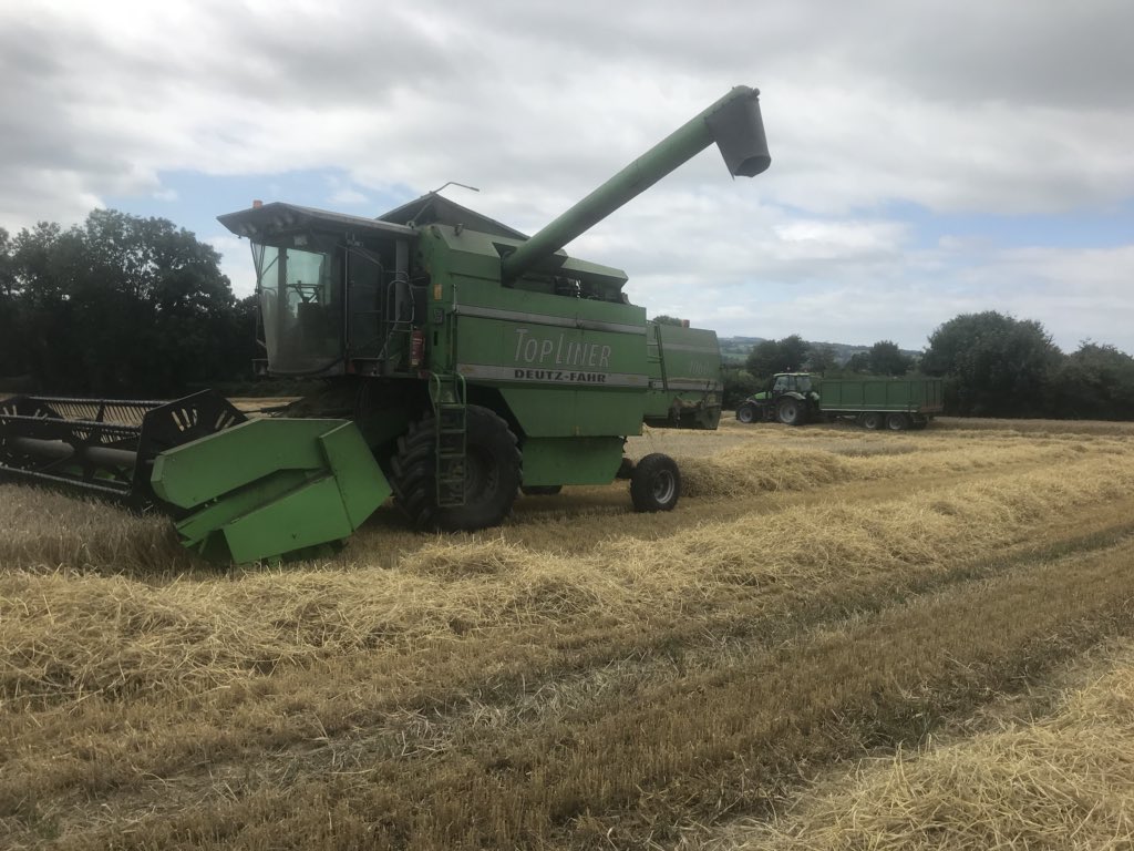 waterfordfarmer's tweet photo. Final field of our own crops for 2018 nearing completion this afternoon! Still some left to harvest for neighbours. This is Gangway seed barley for @Goldcrop sown on Apr 29th, just over 15 weeks ago. Moisture <20% &amp; 66KPH Will update yield when available @John_Dunne_ @fredjlynch https://t.co/enFQDKGuBf