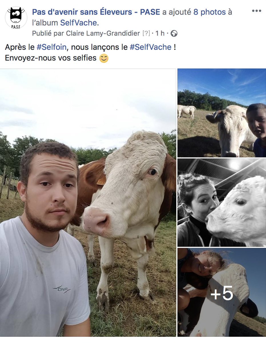 FlashAgri's tweet photo. 4️⃣ : [SELFVACHE] Après le #Selfoin, @pase_page lance le #SelfVache 🤳🏼🐮

▶️ https://t.co/vPdaDUwVLF 👨🏻‍🌾🐮👩🏼‍🌾

#️⃣ #FlashAgri ⚡️🌱#agriculture #SelfVache @Radio_Agricole @agrikol @AgriSkippy @devenireleveur @theoj79 @MaLuherne56 https://t.co/rZtp8nUw0n