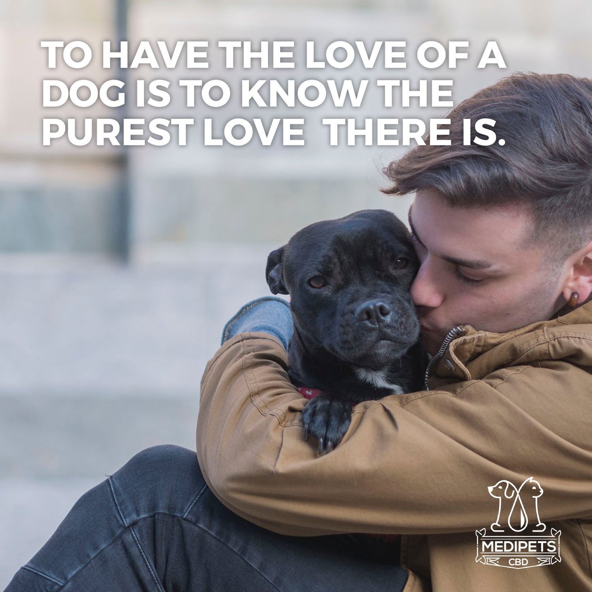 medipetscbd's tweet photo. You do all you can to protect your best furry friends. #MediPets is here to help. #petlove #puppies #kitten #kitties #dailygolden #dogs #pets #lab #shepherd https://t.co/qYZTYbEeky