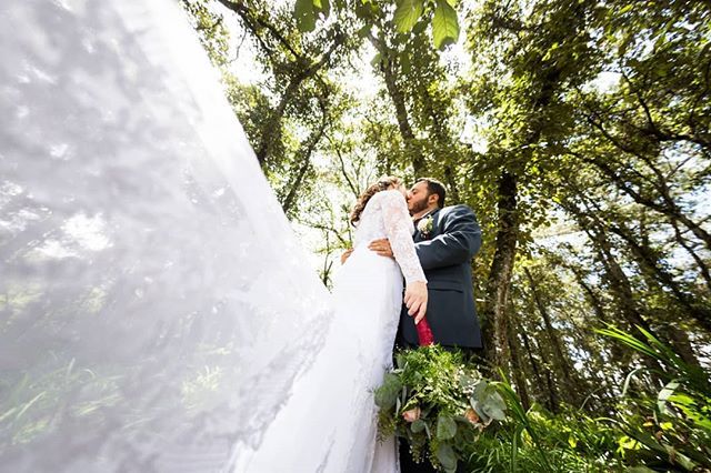 Puma Rod tweet media