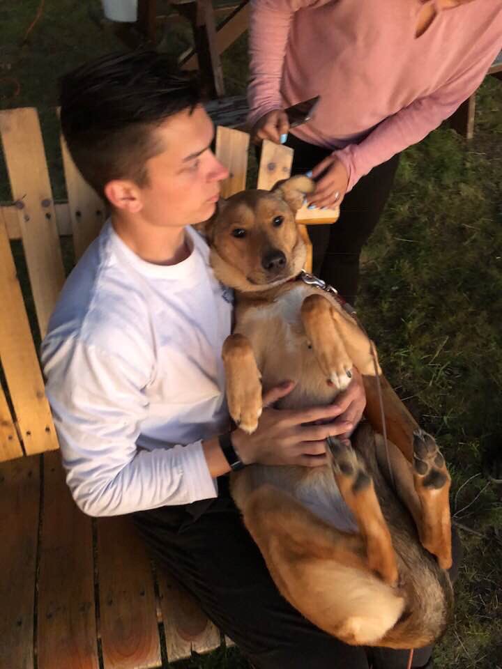 collinforeman11's tweet photo. Update: derpy and spoiled doggo https://t.co/68Odai9JIM