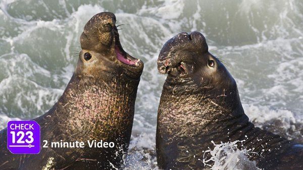 Check123 NATURE tweet media