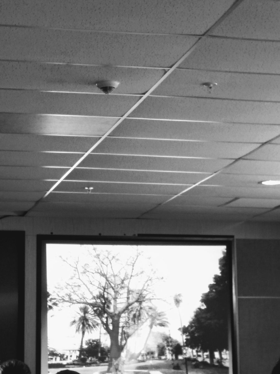 Perien_Boer's tweet photo. Day 3: Challenged by @tutaleni 7 days of black and white photos of my life. No humans. No explanations. Challenge someone new everyday.  Today I challenge @MaggyNamibia https://t.co/bAFsY5nnzI