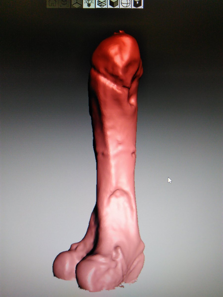 StephenHaines6's tweet image. Next engine scan of a sub adult pig femora, with ballistic trauma. This was part of my data collection for my MSc thesis last year.*minds out of the gutter*  #3Dscan #nextengine #forensicanthropology