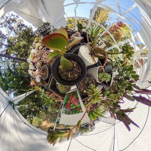 my360shopcom's tweet photo. When you don't get to do a whole virtual tour, you can still sell a #360photo with our platform like one of our members at this nursery

Shot with a  #ricoh #theta S
@ricohthetaes ​@theta_official @RicohThetaDach @RicohThetaFR @ricohthetauk #thetagraphy #360camera #my360shop https://t.co/AVXRJKGmao