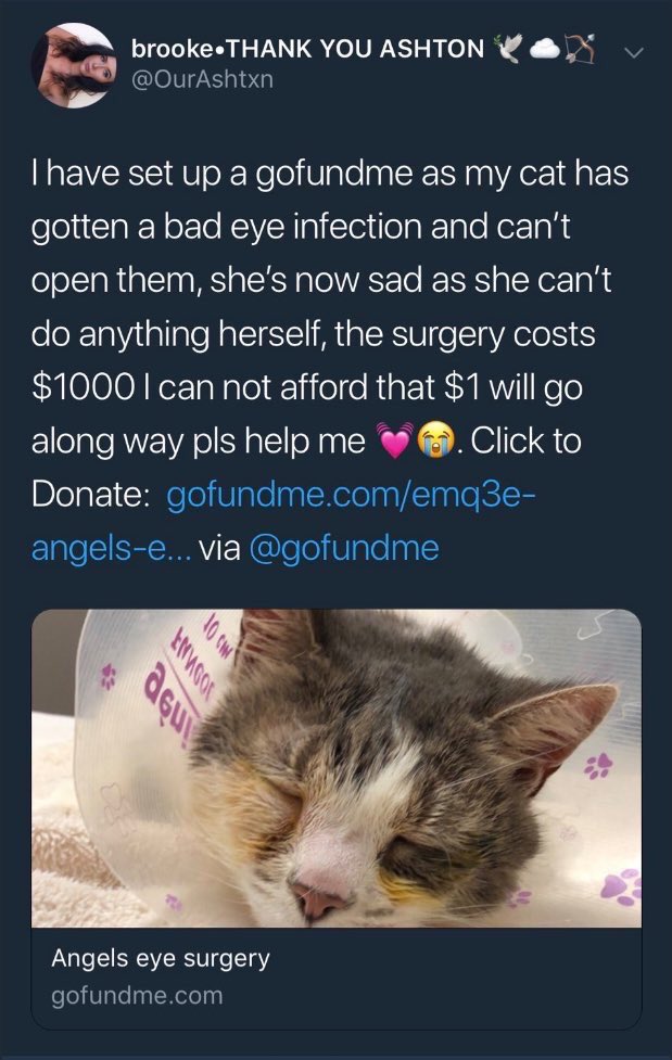 FuckboyUpdates's tweet image. Michael donated 765 to @OurAshtxn for her cat can get eye surgery💕 he has a heart of gold😍😍💕💕