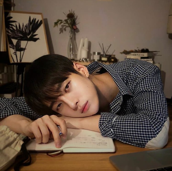 อลัน🌫 tweet media