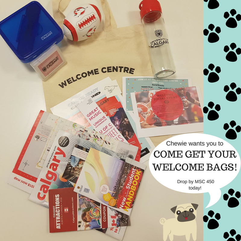 UCalgaryWelcome's tweet photo. New to Calgary? Want resources and UCalgary goodies? More importantly, want to find out who Chewie is? Drop by the Welcome Centre today! We can't wait to meet you! https://t.co/il3Cra0p7h