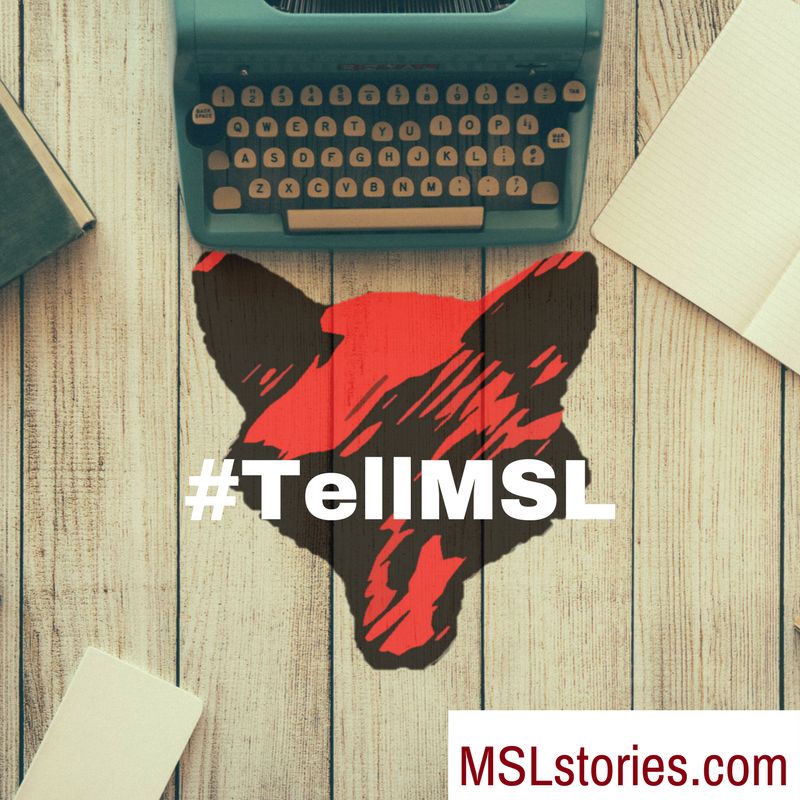 MSLstories tweet media