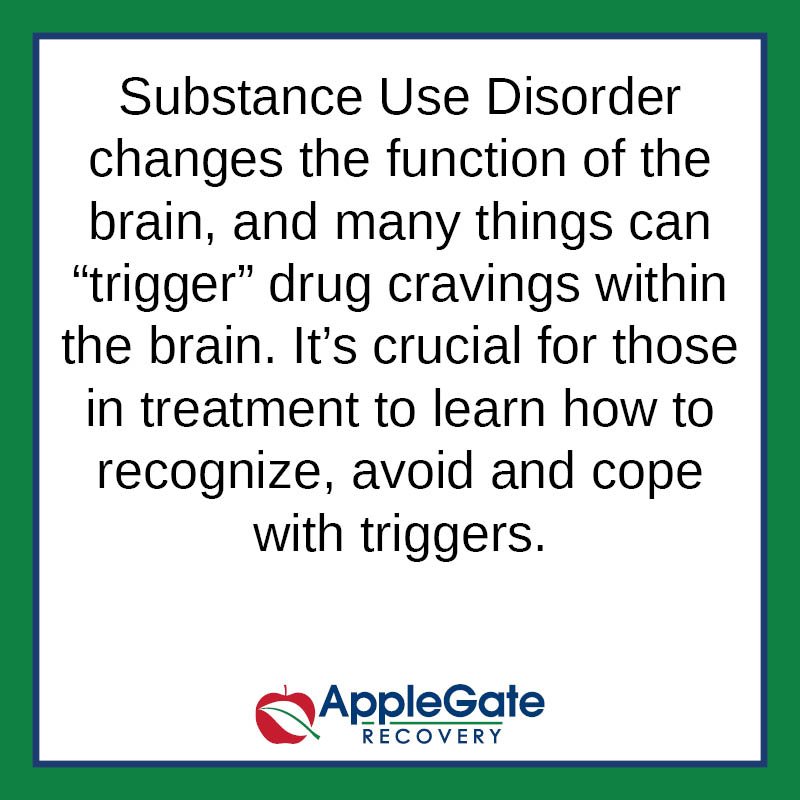 applegatercvry's tweet photo. Common triggers include stress, people, and locations, but they can be different for everyone! It's important to identify what could be a trigger for you and learn ways to cope with them.  #AppleGateRecovery #AddictionRecovery https://t.co/vZCrdKA9Rj