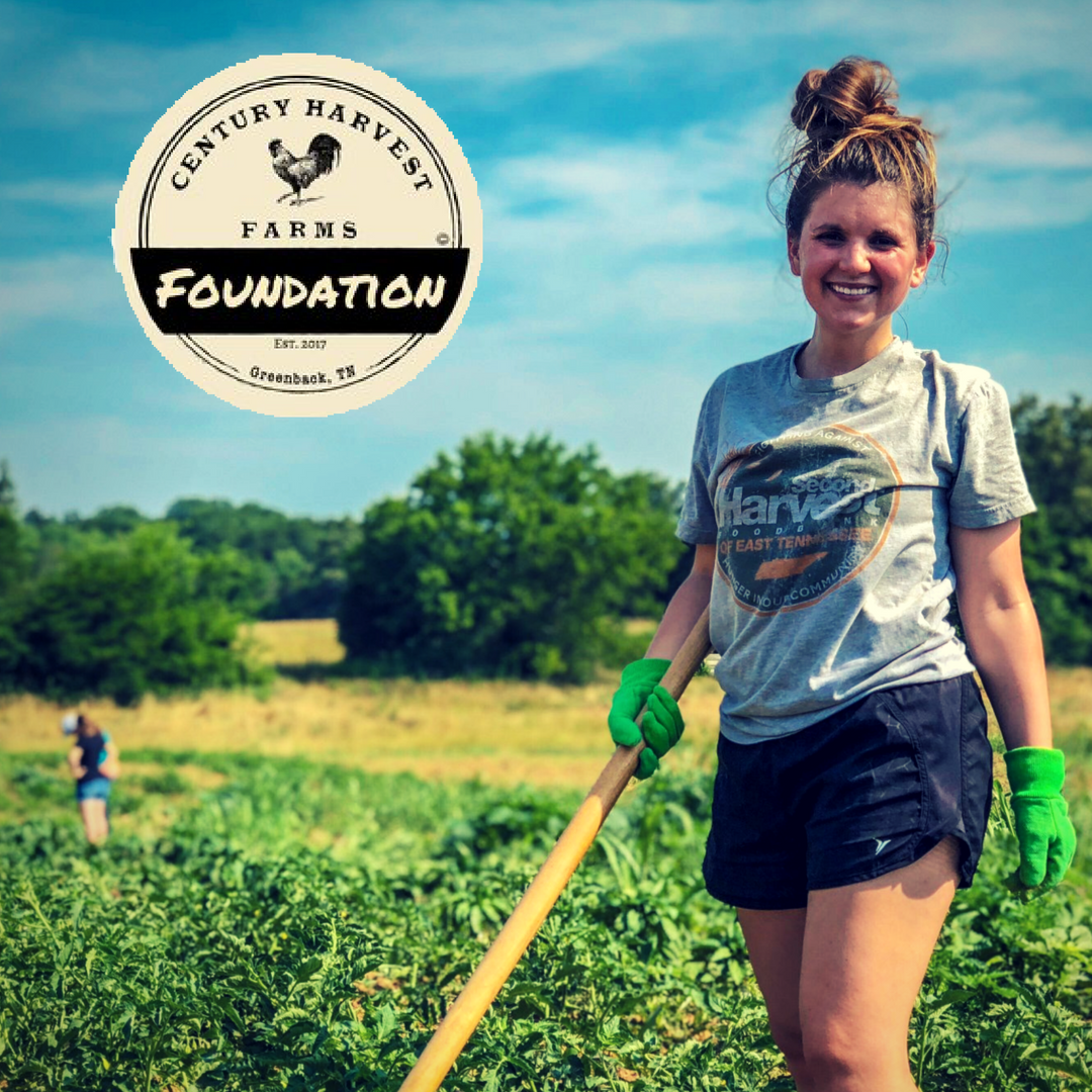 Want to help <a href="/farms_century/">Century Harvest Farms</a> bring produce to Second Harvest? The produce picked by volunteers will be donated to Second Harvest for distribution to partner agencies + programs. Dates available are Aug 18, Sept 8 + Oct 27. Email darby@secondharvestetn.org to sign up! #volunteer