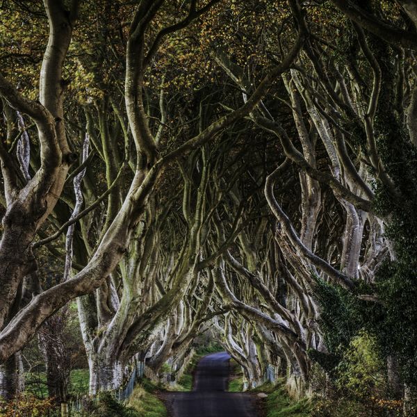 VisitCauseway's tweet photo. 'It’s uncanny how many attractions are crammed along Co Antrim’s northern coastline &amp; not just the Giant’s Causeway. There are crumbling castles, a lost-in-time island, coastal walks &amp; a 400-year-old distillery to get stuck into.' The Times. 
Read here - https://t.co/5RvJgYRAbD https://t.co/cWmSEBzhpJ