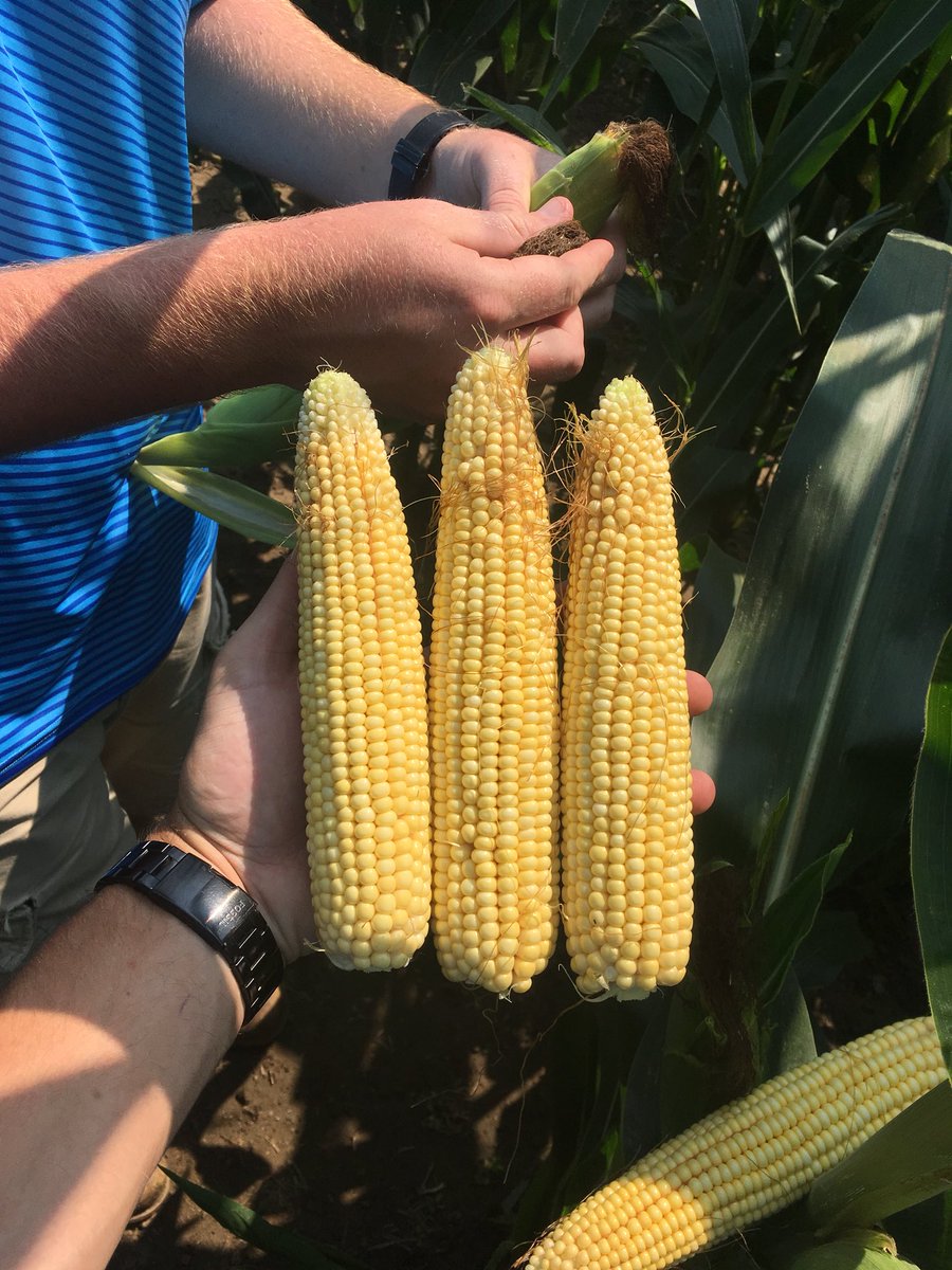 South West Ag Inc tweet media