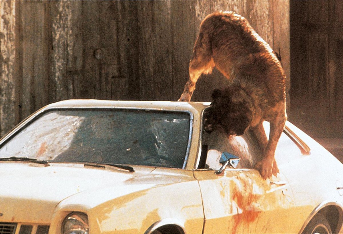 'Cujo' (1983) Based on the novel by Stephen King. Cujo, a friendly St ...