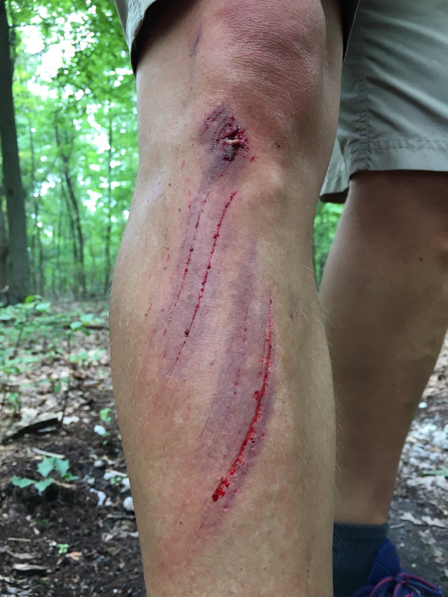 Sean Potts tweet media