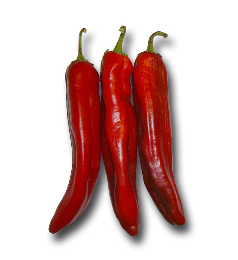bewellke's tweet photo. Hot pepper stimulates free nerve endings - pain. Yaani uchungu
#bewelltalk https://t.co/NMpTBHBYzX