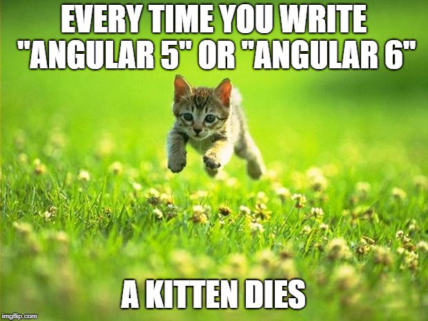 luixaviles's tweet image. Every time you write &quot;Angular 5&quot; or &quot;Angular 6&quot; God kills a kitten.
Remember #ItsJustAngular @ItsJustAngular