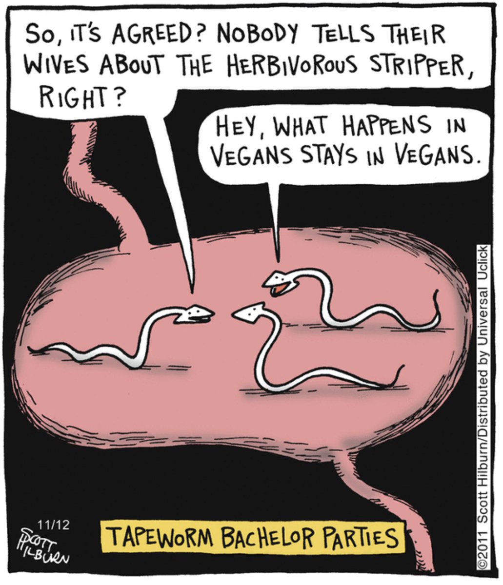 Argyle_Sweater's tweet photo. https://t.co/SIFDFnJHem