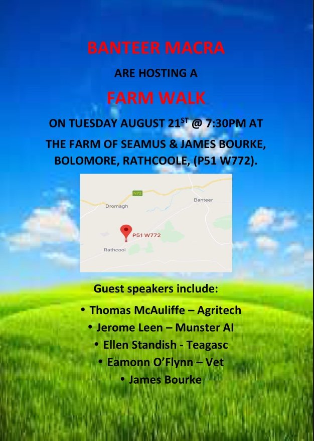 banteermacra's tweet photo. Banteer Macra will be holding a Farm Walk Tuesday 21st August,hosted by Seamus &amp; James Bourke on their dairy farm
Guest speakers on the night:
Thomas McAuliffe - Agritech 
Jerome Leen - Muster AI
Ellen Standish - Teagasc 
Eamon O’Flynn - Vet  
All welcome 🐮 https://t.co/00HW88PS5m