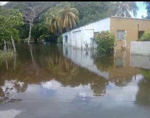 Circuito08's tweet photo. Directora de Zona Educativa Sheila Saavedra en el refugio de la EBN Buena  Vista. Gracias por los donativos @sheieduc @RosangelaOrozco https://t.co/rnRqOgf7ZY