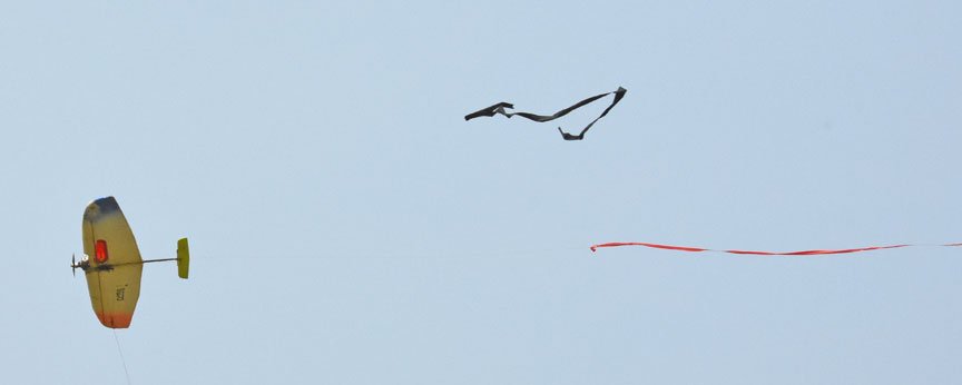 Editor_John's tweet image. A report and photos of the 40th annual Bladder Grabber combat tournament is now posted on flyinglines.org .