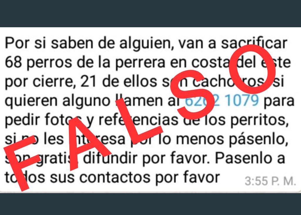 AngelesdelosAnimales tweet media