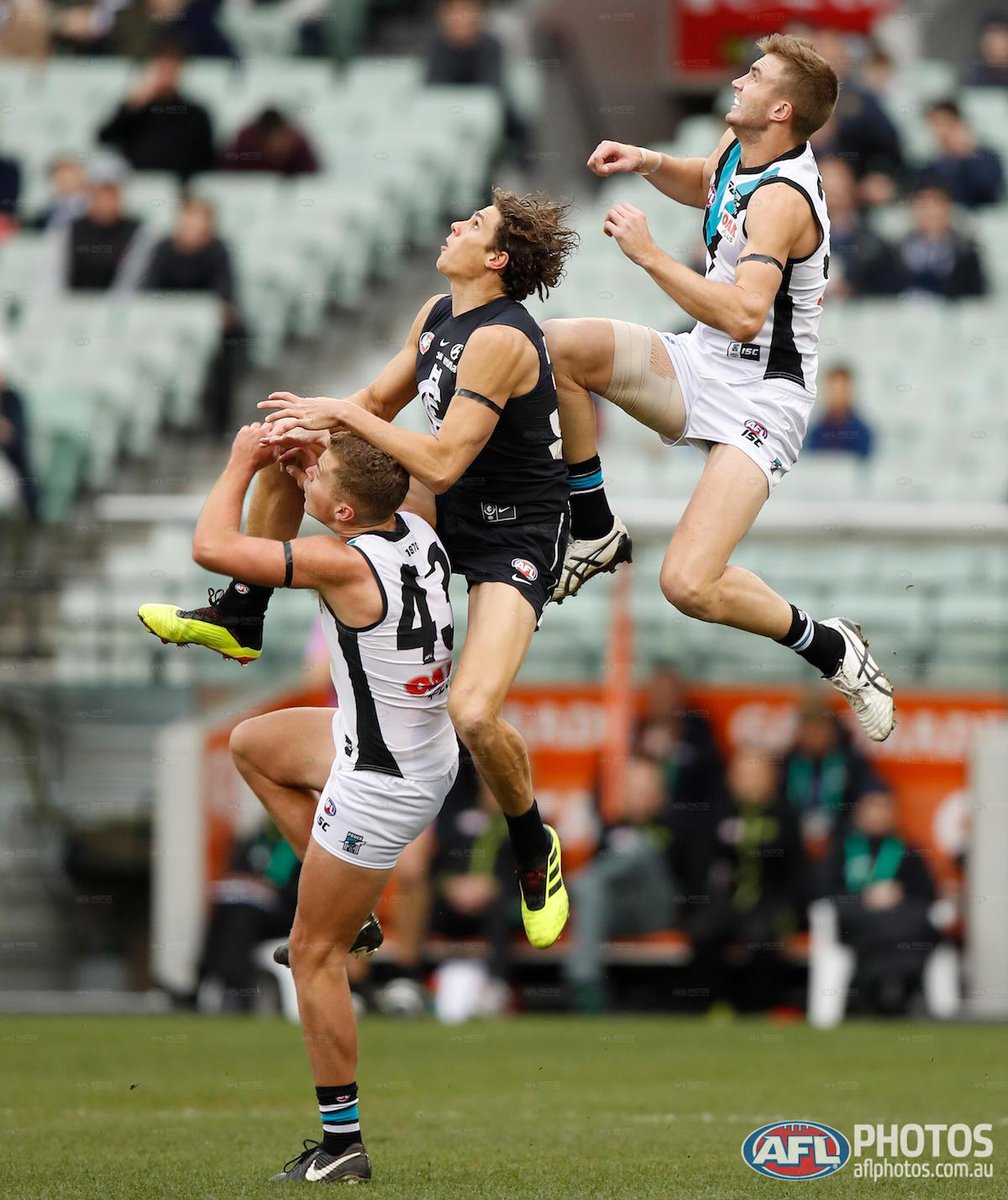 AFL's tweet photo. An insight from the @AFLphotos team on the technique, planning, instinct - and luck - needed to take a great footy photo. https://t.co/8ybW1UQZKe https://t.co/oINPivFqMq
