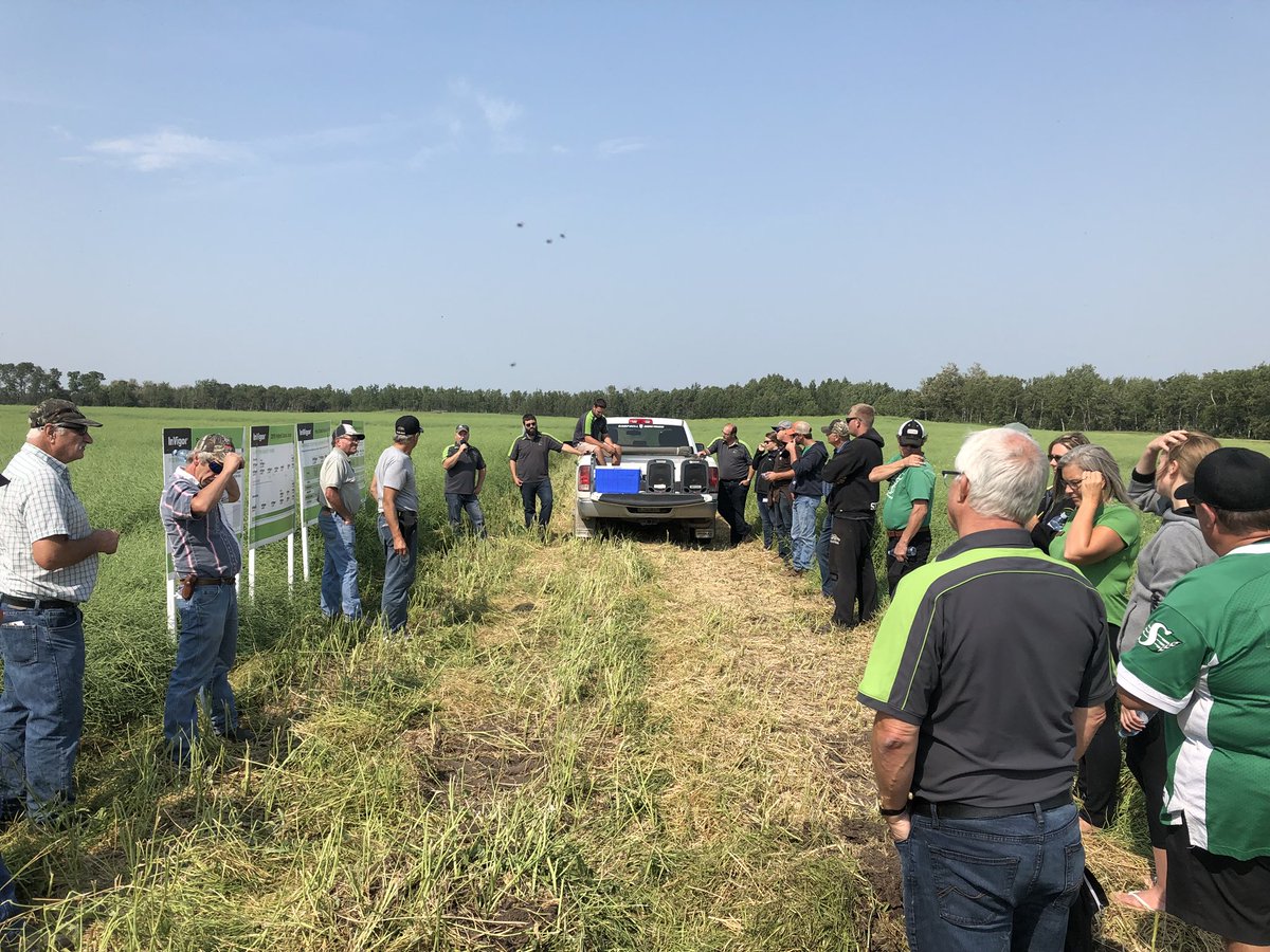 Barns_27's tweet photo. Thanks to the team @CavalierAgrow Medstead for today’s Showcase. Trials look outstanding, can’t wait to see the yields off this site! #6090RR #HugePods https://t.co/v4wk2IdC7m