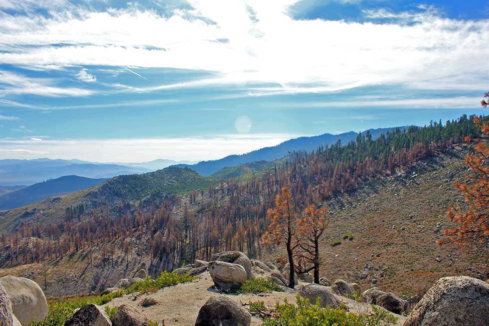 Northern California is currently experiencing the worst forest fires on record. Learn more about our ongoing partnership with #OneTreePlanted and our mission to help save the world’s forests, one tree at a time🌱🌲#Sustainability ow.ly/I8zB50idEhl