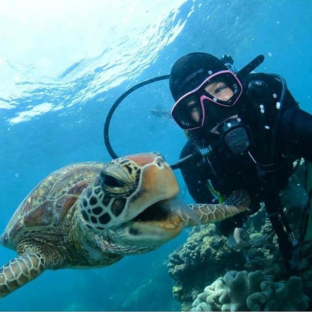 SDIdivers's tweet photo. Oh this turtle is cheesin' HARD for #TurtleTuesday #SDIdivers 📷 @maydivepix via @divers_den
#turtletime #turtle #turtlepower #SDIdivers #scubalife #scubadiving #scubalifestyle #scubadiver #scuba #scubadive #scubalife #scubasquad #scubadivingmag #div… https://t.co/rBs4Jw7xB4 https://t.co/G6Y7tsel14