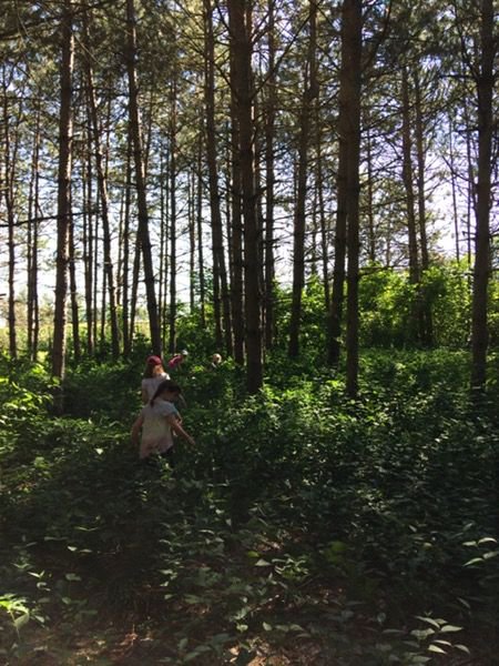 Our campers have loved spending the summer walking (and photographing!) on the trails this summer! Thanks to <a href="/durhamcf/">Durham Community Foundation</a> for making the trail improvements at Claremont a possibility!