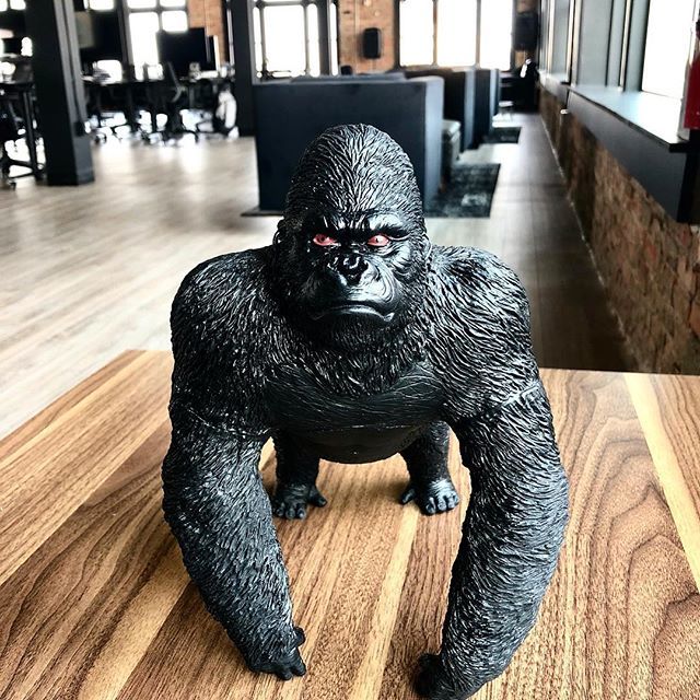 allmoxyapps's tweet image. IWF is next week and we’re feeling pretty pumped about it - let’s get as serious about our businesses as this gorilla is about looking awesome. (Also here’s a helpful tip: the most fun will be at booth #4266)