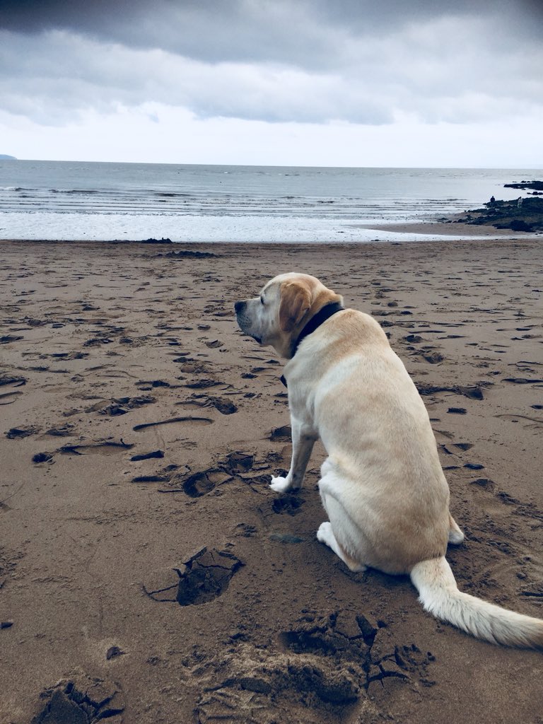 download Encyclopedia of Library and Information Science, 2003