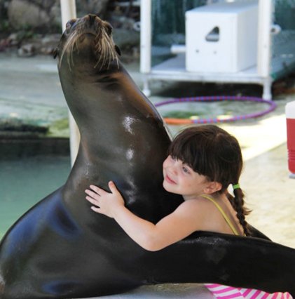 VisitIslamorada's tweet photo. @VISITFLORIDA A7: Itโs worth it to splurge on experiences when you are making lasting memories! #TheateroftheSea #DolphinsPlus #FLTravelChat https://t.co/oyb2R7vGrN
