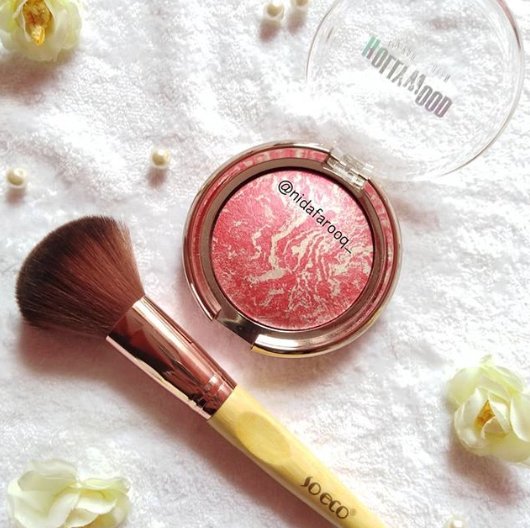 eco blush brush