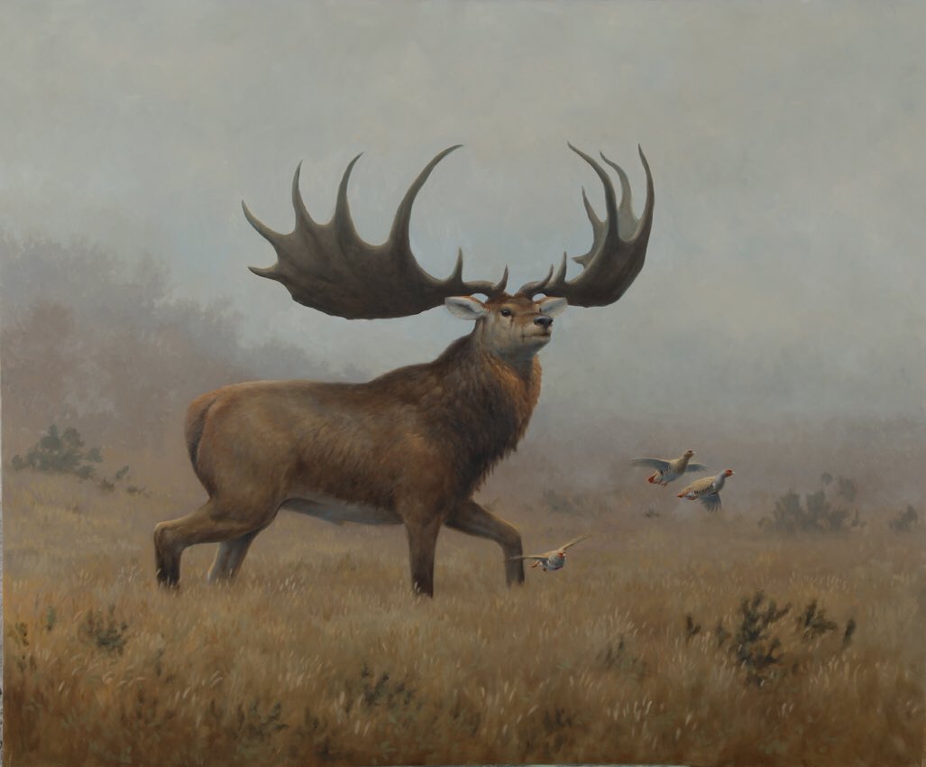 Julian Friers on Twitter "From a series of paintings of extinct Irish