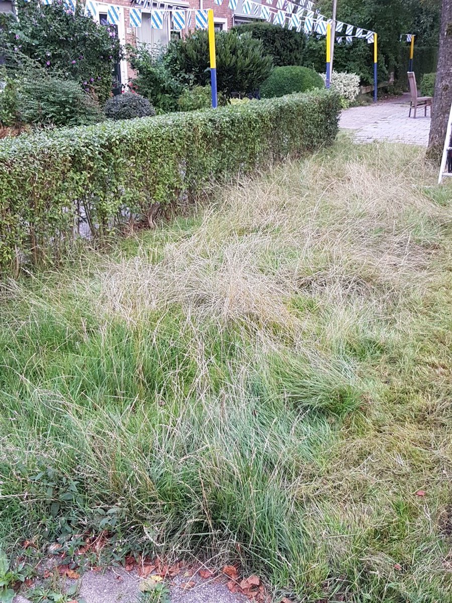 lysvdw's tweet photo. @Gemeente_Lwd komen jullie morgen nog even de Meekeshof maaien??? https://t.co/yqPYkdZBmL